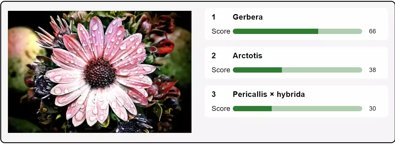 AI Plant Identify Online – Identify Plants in Photo with AI