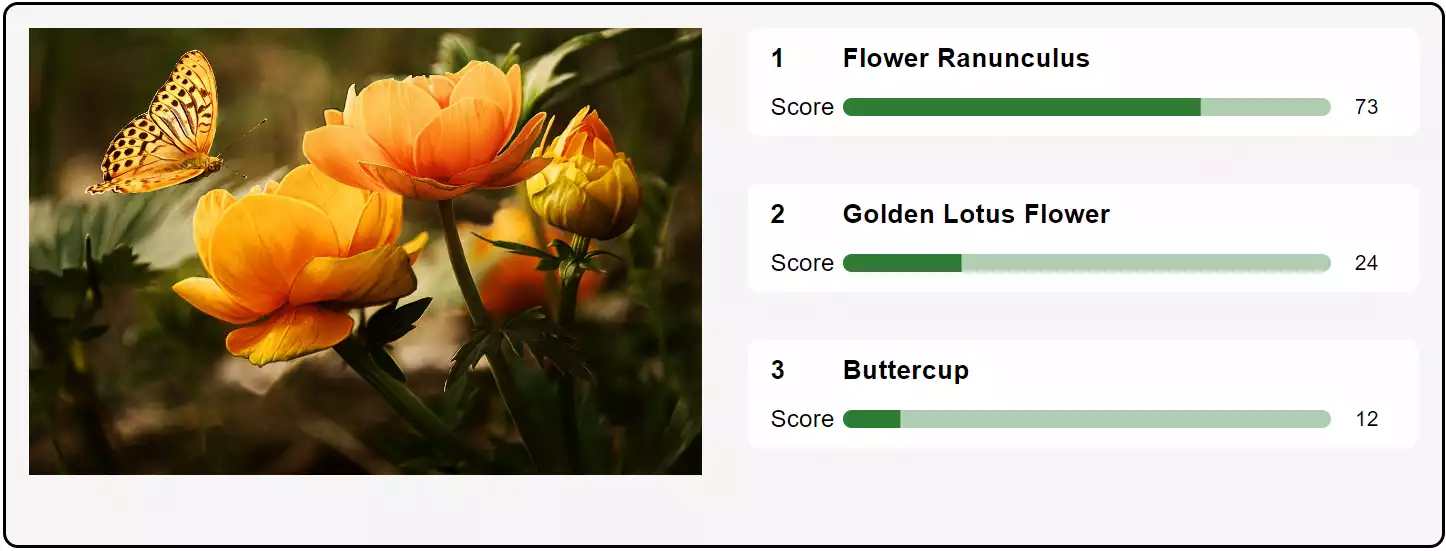 How to Identify Plants With Your Phone Without Using an App